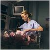 Tödliche Versprechen : photo David Cronenberg, Naomi Watts