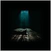 Black Forest : poster