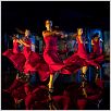 Flamenco, Flamenco : photo