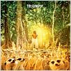 Life of Pi: Schiffbruch mit Tiger : Kinoposter