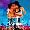Step Up 4: Miami Heat : poster