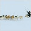 Inuk : photo