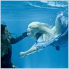 Painted Skin 2: The Resurrection : Bild