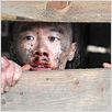 Der Chinese : photo