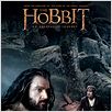 Der Hobbit: Eine unerwartete Reise : poster