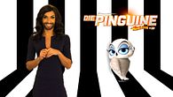 Die Pinguine Aus Madagascar (Film) Die Pinguine Aus Madagascar (Film)