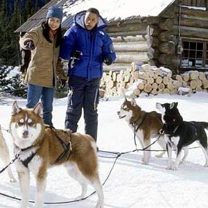 snowdogs – acht helden auf vier pfoten snowdogs – acht helden auf vier pfoten