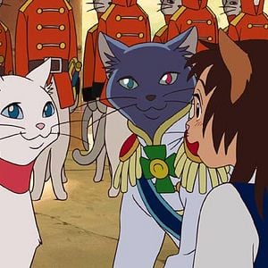Das Königreich Der Katzen Kinox Das Königreich Der Katzen Kinox