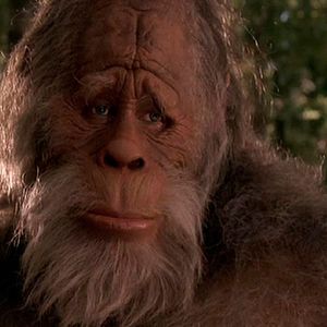 Bigfoot Und Die Hendersons Bigfoot Und Die Hendersons