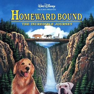 filme schauen a dog s journey zur 252 ck nach hause film 1992 filmstarts de filme schauen a dog s journey zur 252 ck nach hause film 1992 filmstarts de