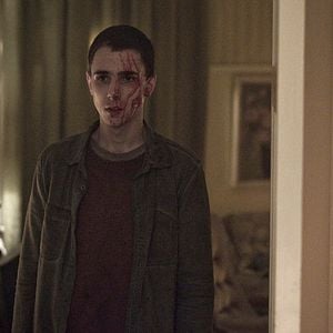 In Der Stunde Des Luchses