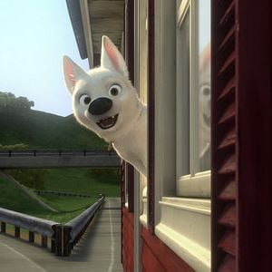 Bolt Der Superhund Bolt Der Superhund