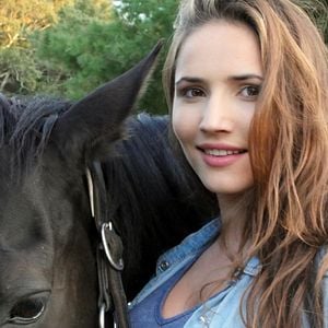 black beauty neuverfilmung black beauty neuverfilmung
