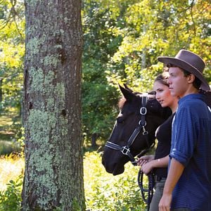 Black Beauty Neuverfilmung