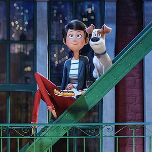 Wer Streamt Pets Wer Streamt Pets