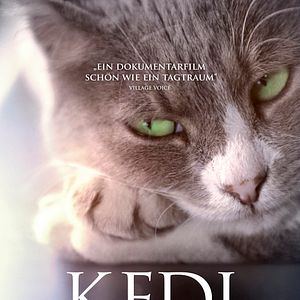 Kedi Von Katzen Und Menschen