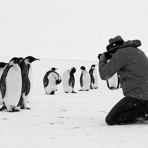 Rückkehr zum Land der Pinguine Dokumentarfilm 2023 FILMSTARTS de