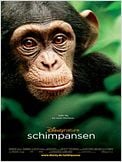 Schimpansen