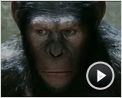Planet der Affen: Prevolution Trailer (2) OV