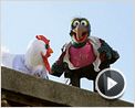 Die Muppets Trailer DF