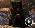 Merida - Legende der Highlands Videoclip OV