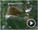 Unser Leben Trailer DF