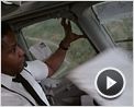 Flight Trailer DF