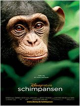 Schimpansen