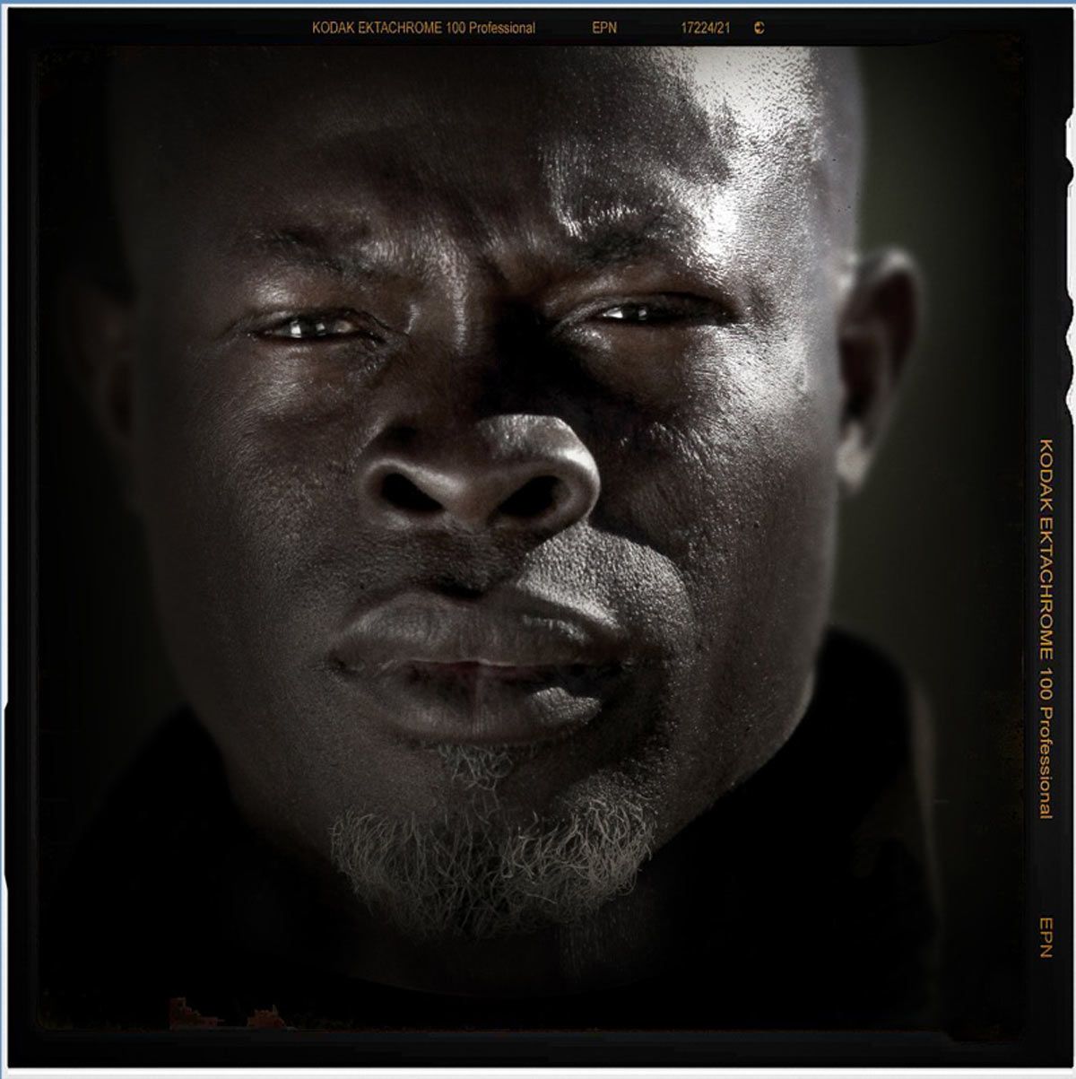 Djimon Hounsou Filme Djimon Hounsou Filme