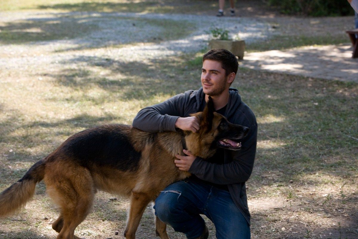 Bild von The Lucky One - Für immer der Deine - Bild 51 auf 52