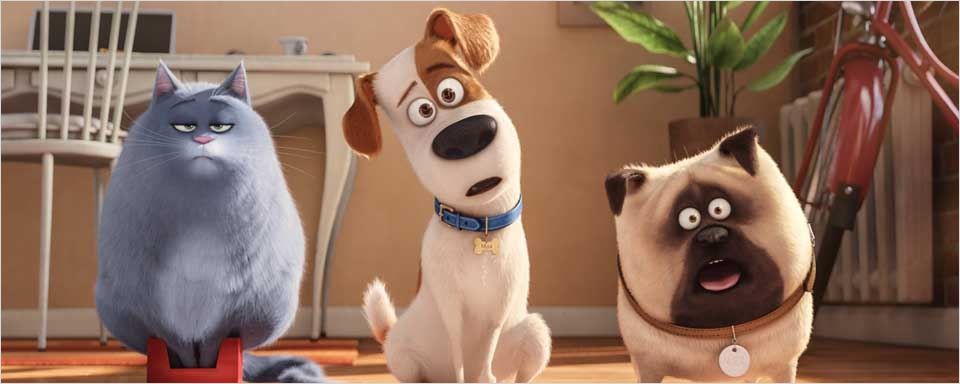 "Pets Einfach unverbesserlich" Der Honest Trailer zum ultrabrutalen