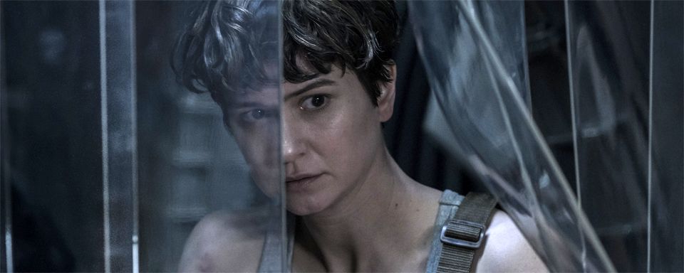 A Separation Phantastische Tierwesen Star Katherine Waterston Ubernimmt Hauptrolle In Verfilmung Von Katie Kitamuras Roman Trennung Kino News Filmstarts De