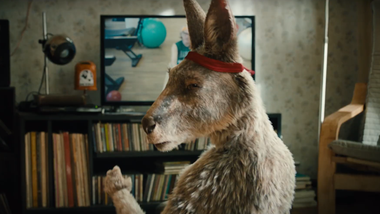 Känguru Chroniken Film Trailer Känguru Chroniken Film Trailer