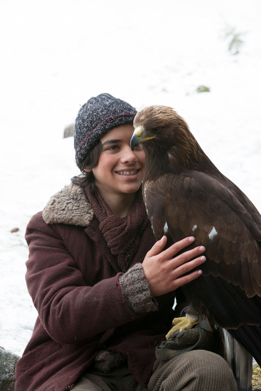 Wie Brüder Im Wind Dvd