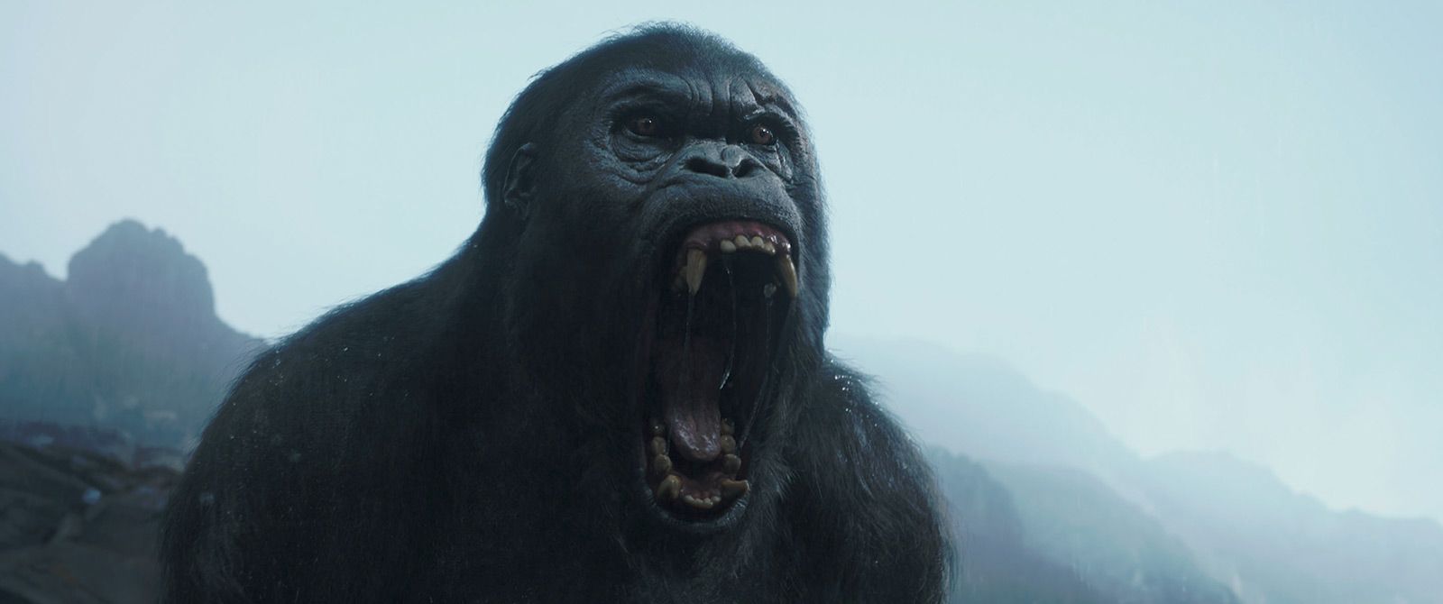 Legend Of Tarzan Besetzung Legend Of Tarzan Besetzung