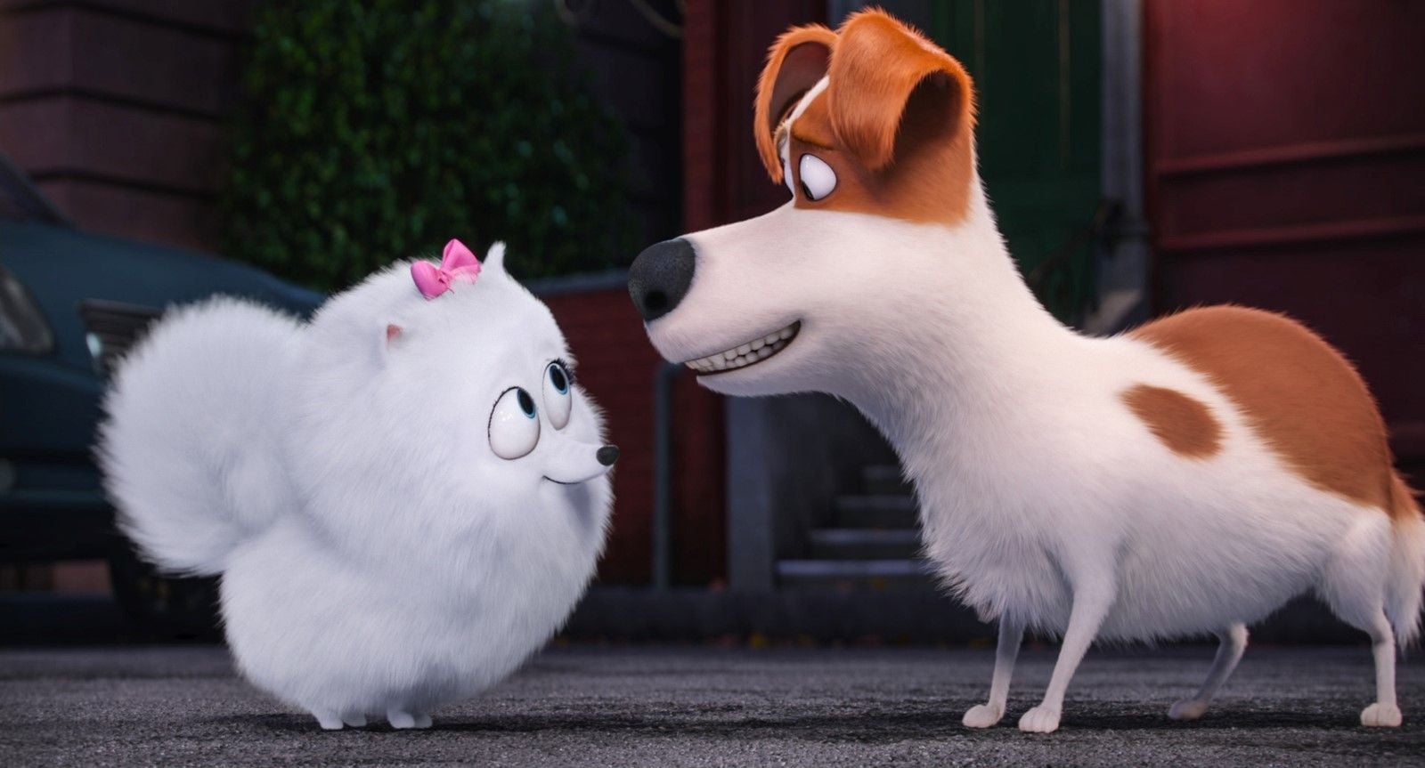 Bild von Pets Bild 6 auf 22 FILMSTARTS.de