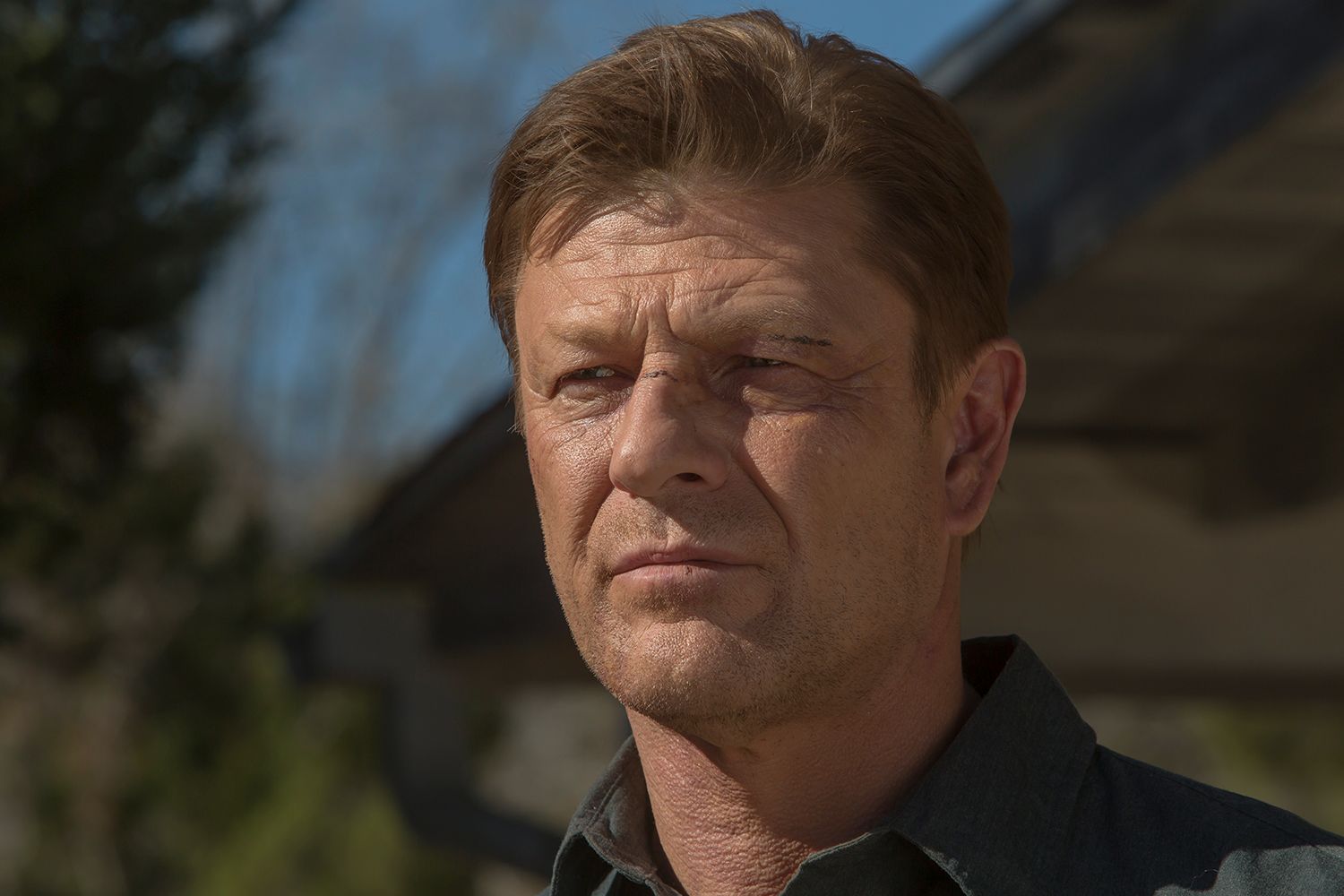 Bild zu Sean Bean Any Day Bild Sean Bean FILMSTARTS.de