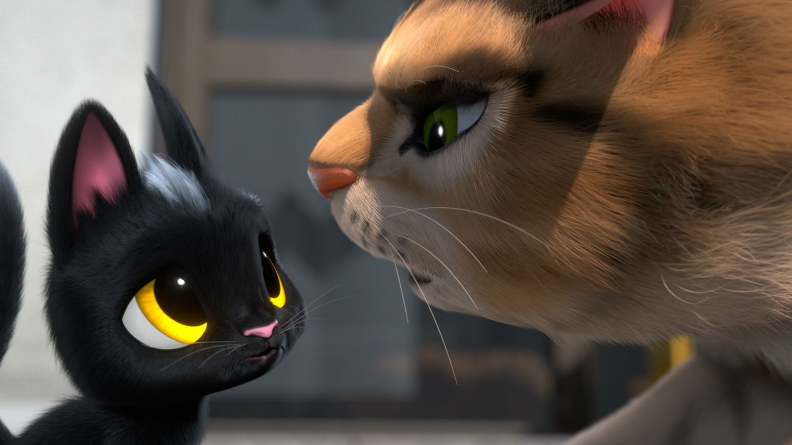 rudolf der schwarze kater trailer rudolf der schwarze kater trailer