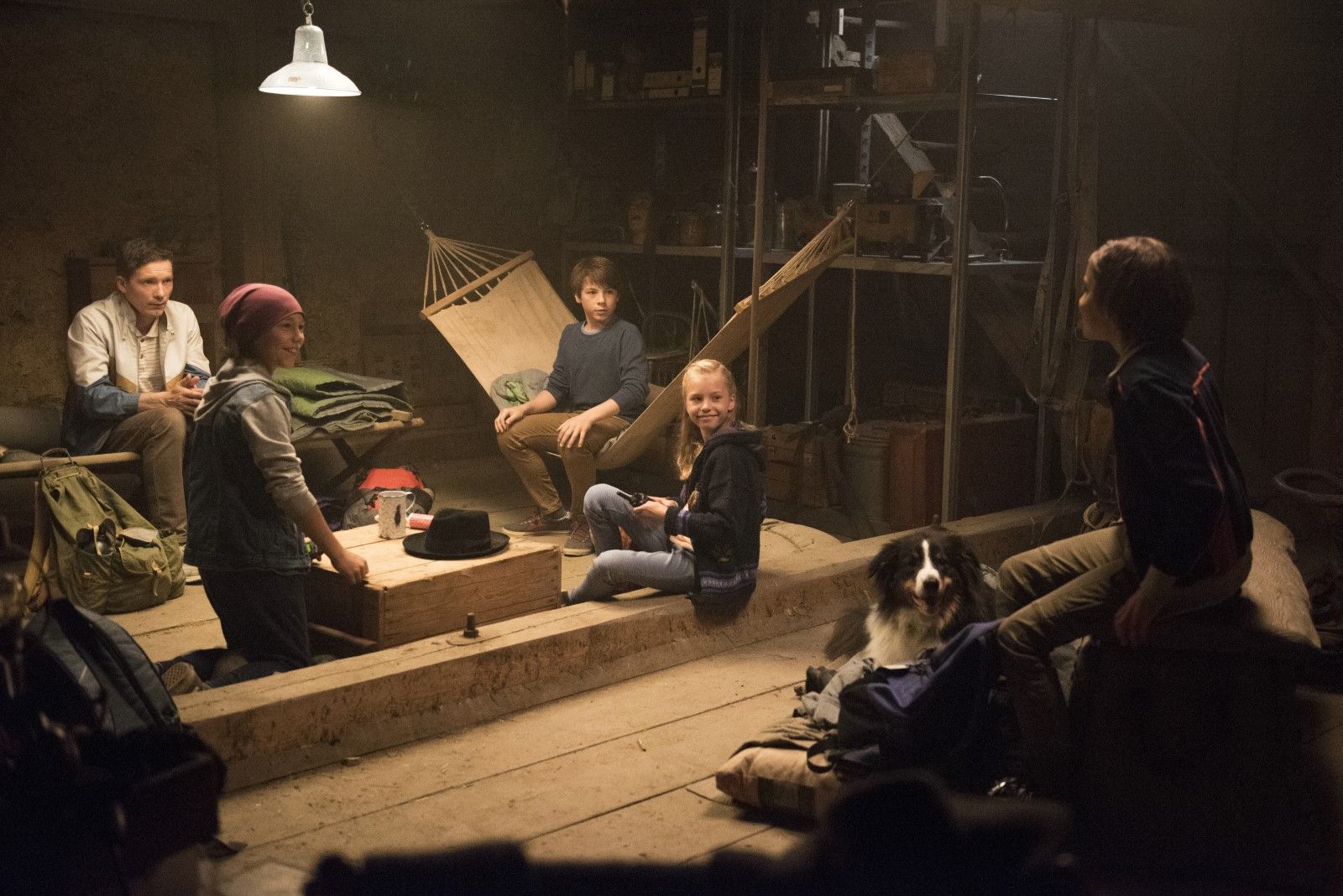 Bild zu Allegra Tinnefeld Fünf Freunde und das Tal der Dinosaurier