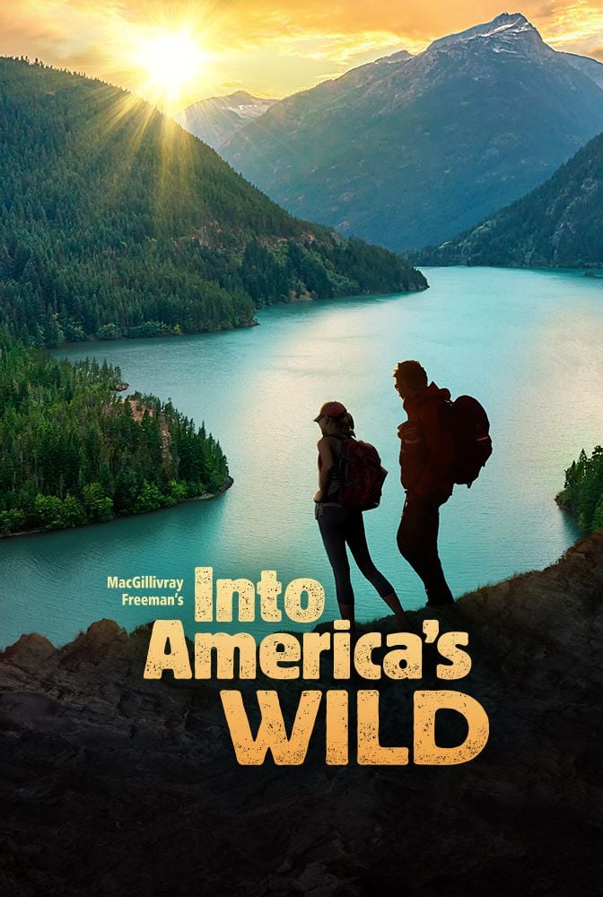 ähnliche Filme Wie Into The Wild