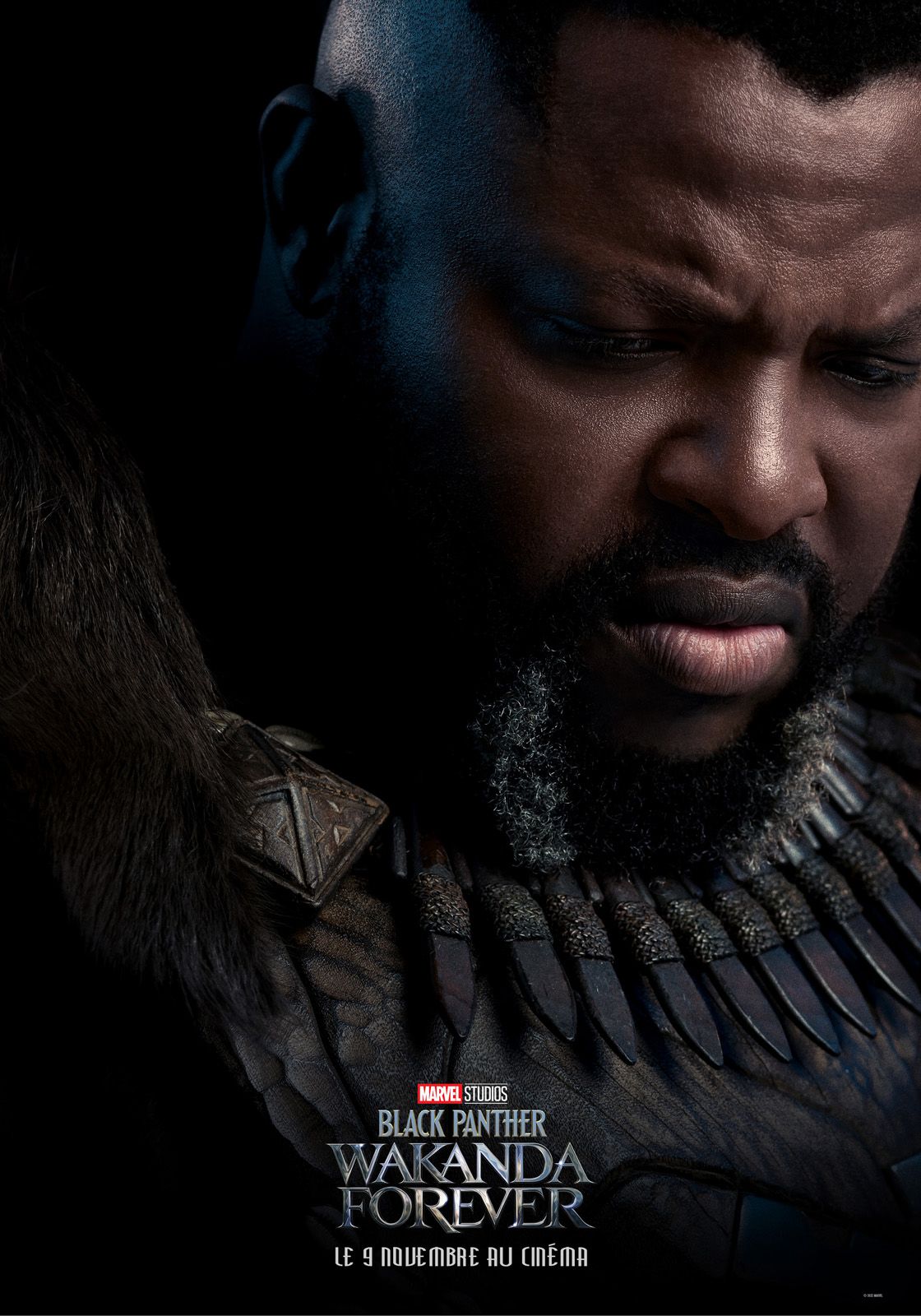 Poster Zum Film Black Panther Wakanda Forever Bild Auf