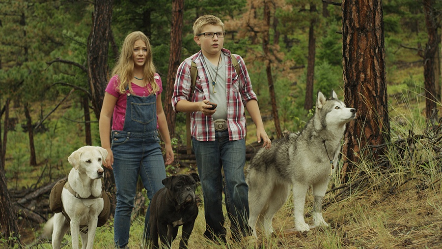 Timber The Treasure Dog Movie Review