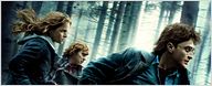 "Harry Potter": Cooles Video über alle acht Filme als Retrospektive