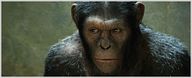 Andy Serkis alias Caesar reitet ein Pferd auf dem ersten Bild aus "Dawn Of The Planet Of The Apes"