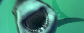 "Open Water 3: Cage Dive": Deutsche Trailerpremiere zum Hai-Horror auf hoher See "Open Water 3: Cage Dive": Deutsche Trailerpremiere zum Hai-Horror auf hoher See