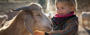 Im Trailer zu "Citizen Animal – A Small Family's Quest For Animal Rights" kommen Tierschützer aus aller Welt zu Wort Im Trailer zu "Citizen Animal – A Small Family's Quest For Animal Rights" kommen Tierschützer aus aller Welt zu Wort