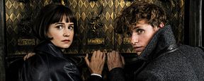 Unser Interview mit Katherine Waterston am Set von "Phantastische Tierwesen: Grindelwalds Verbrechen": "Niemand will ein Foto von mir!" Unser Interview mit Katherine Waterston am Set von "Phantastische Tierwesen: Grindelwalds Verbrechen": "Niemand will ein Foto von mir!"