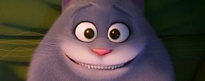 Katzen-Drogentrip: Neuer Trailer zu "Pets 2" Katzen-Drogentrip: Neuer Trailer zu "Pets 2"