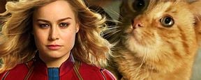 Vor "Avengers 4": Marvel startet mit neuen (Katzen-)Postern den "Captain Marvel"-Countdown Vor "Avengers 4": Marvel startet mit neuen (Katzen-)Postern den "Captain Marvel"-Countdown
