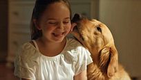 Kevin Costner als Hund: Erster Trailer zu "The Art Of Racing in The Rain" Kevin Costner als Hund: Erster Trailer zu "The Art Of Racing in The Rain"